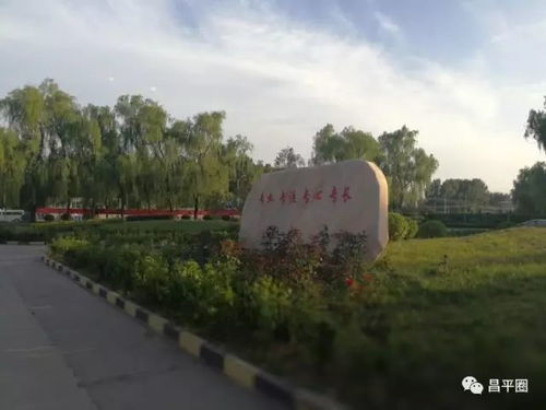 昌平人,这个活动的中奖率是100 ,要不要你说了算