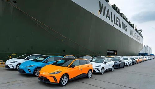 欧盟对华关税生效不到一周,中方拒绝妥协,宣布对欧盟展开反调查