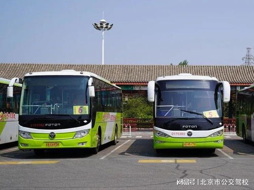 来公交驾校，轻松学驾驶，畅游北京城