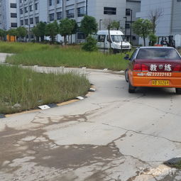 东鹏驾校 大众点评网上的北京驾校口碑探析